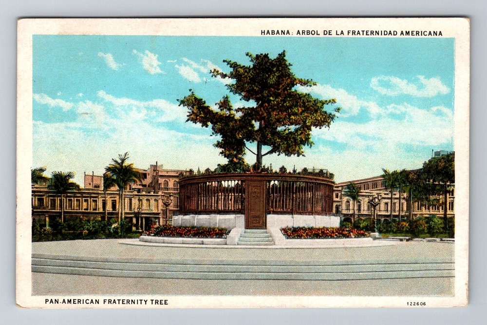 Cuba- Havana Pan-American Fraternity Tree Postal Old Card Vintage c1929 Postcard