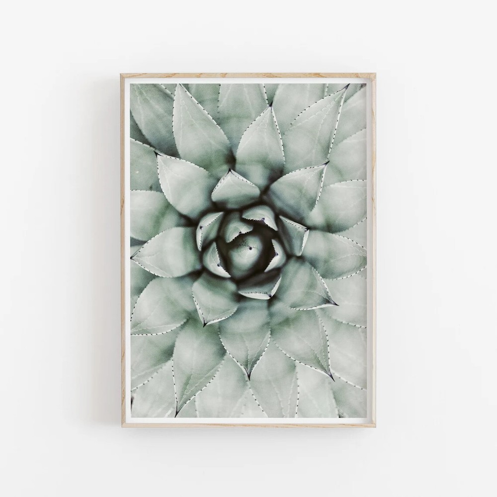 Succulent Cactus Wall Art Poster Premium Quality Choose your Size