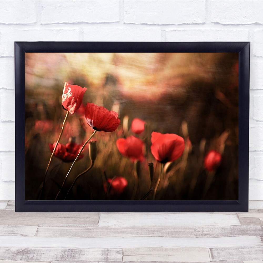 Poppies Summer Flower Macro Bokeh Painterly Warm Wall Art Print