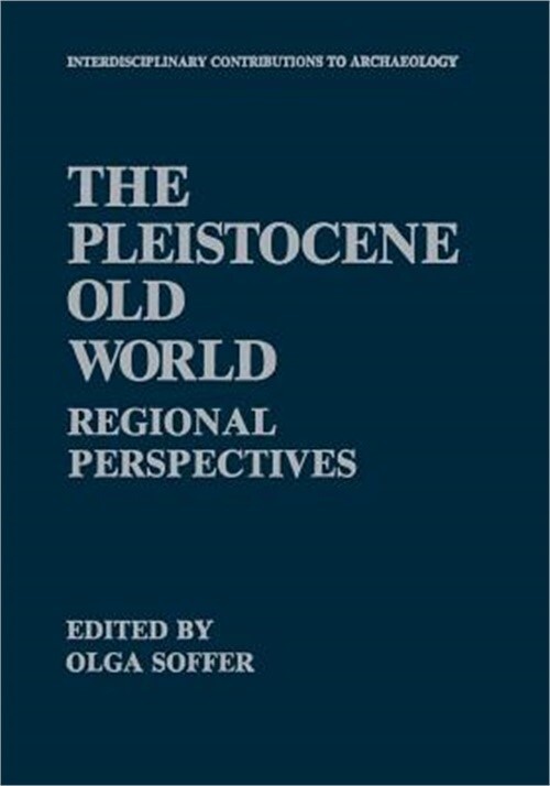The Pleistocene Old World: Regional Perspectives (Paperback or Softback)