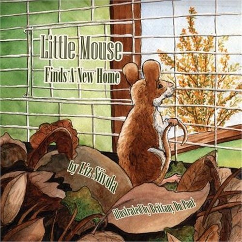 Little Mouse Finds a New Home (Paperback or Softback)
