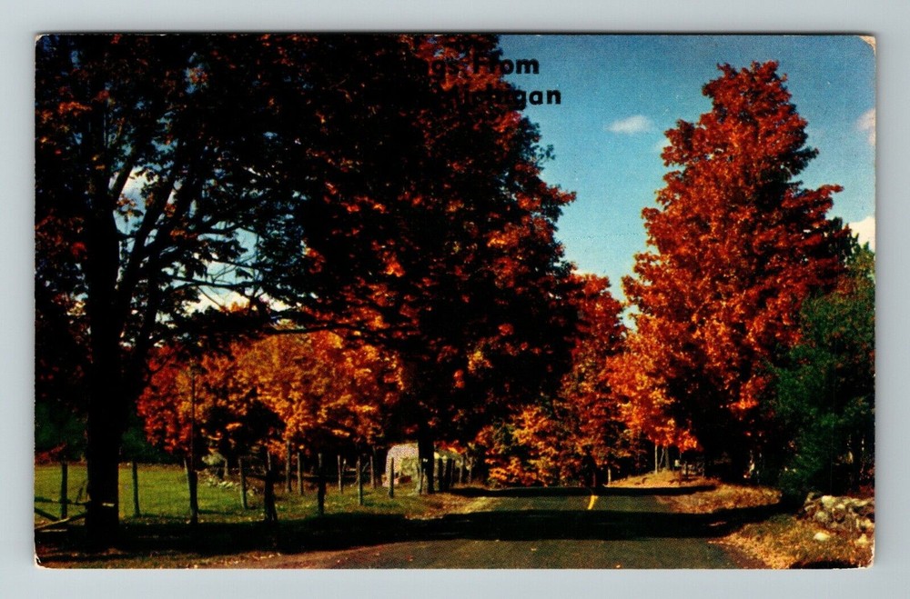 MI-Michigan, General Scenic Greetings, Autumn, Pathway, Vintage Postcard