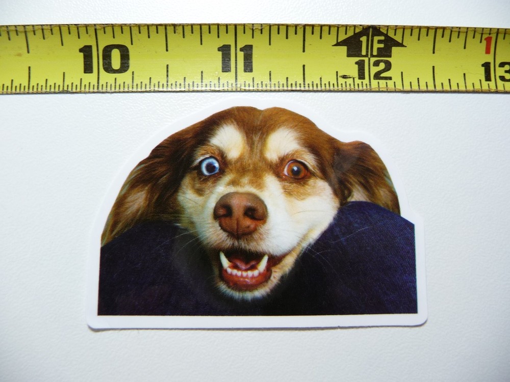 Funny Dog Decal Sticker Playful Pet Furball Design