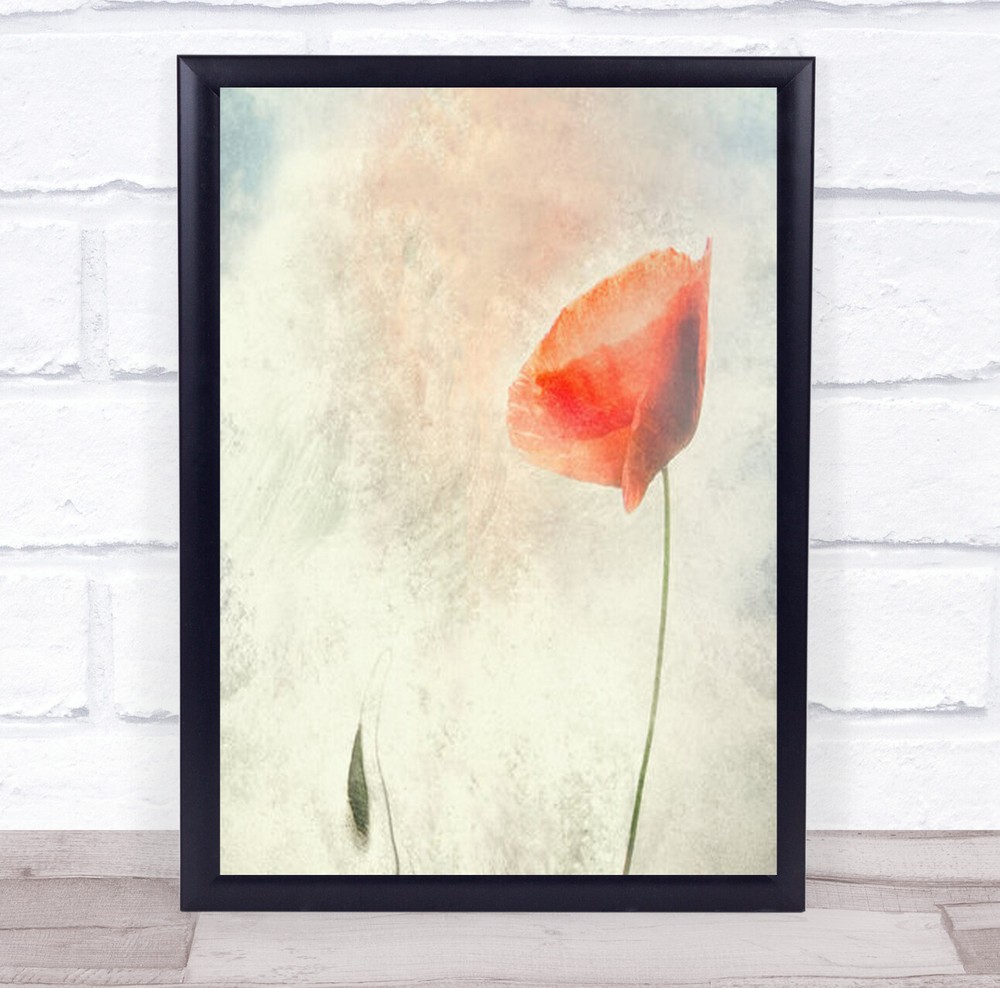 We Should Not Sleep Poppy Flanders Creative Edit Texture Belgium Wall Art Print
