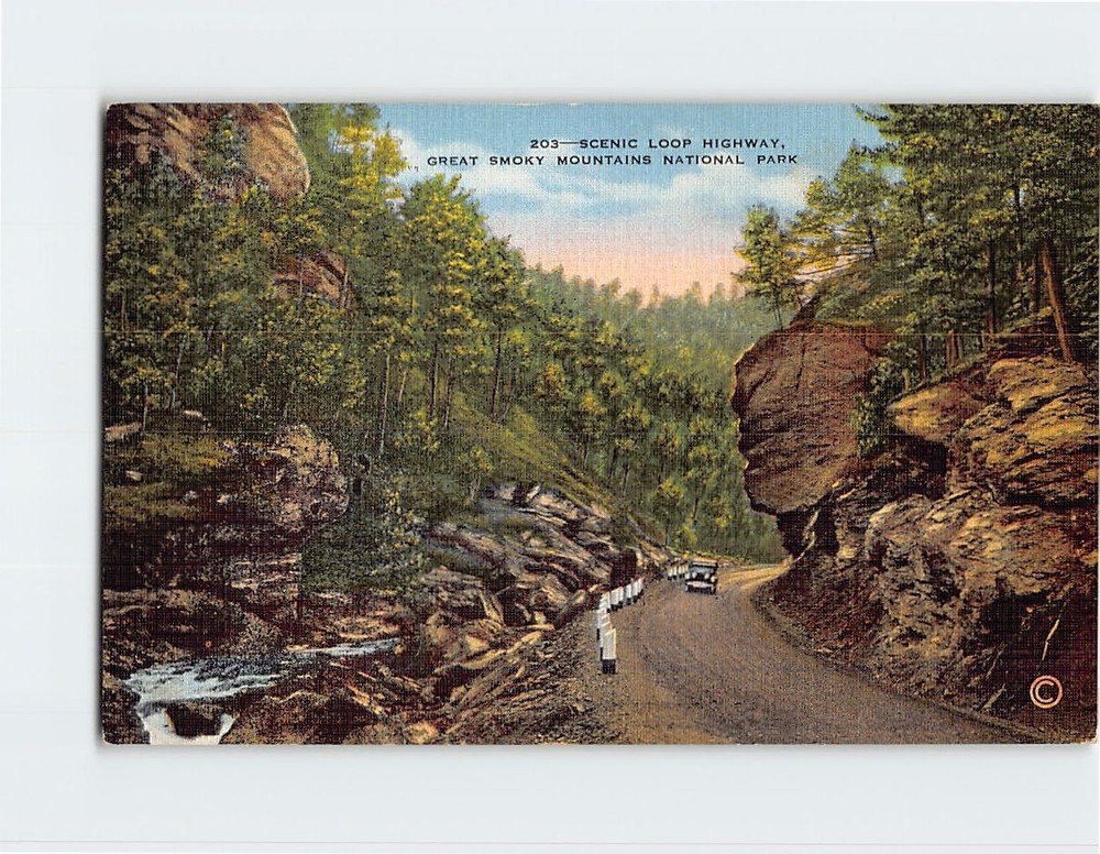 Postcard Scenic Loop Highway Great Smoky Mountains National Park Tennessee USA