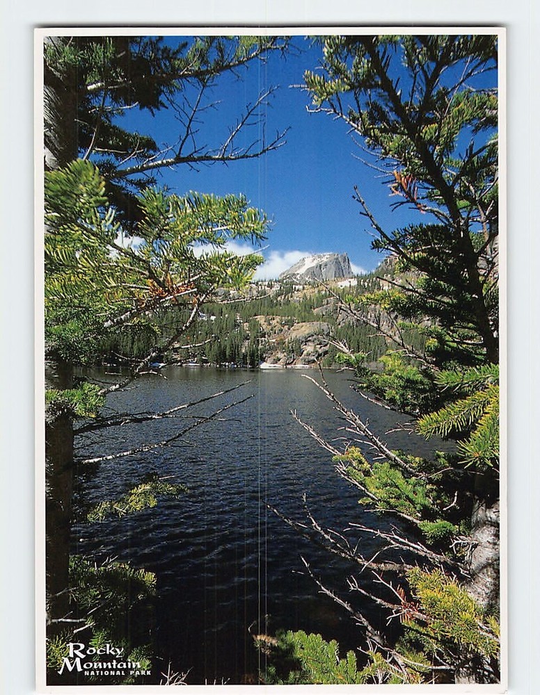 Postcard Bear Lake and Hallett Peak Rocky Mountain National Park Colorado USA