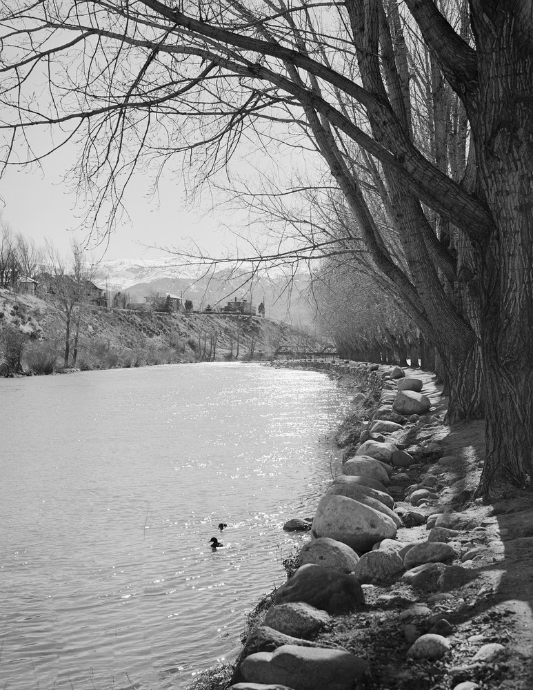 1940 Truckee River, Reno, Nevada Vintage Old Photo 8.5