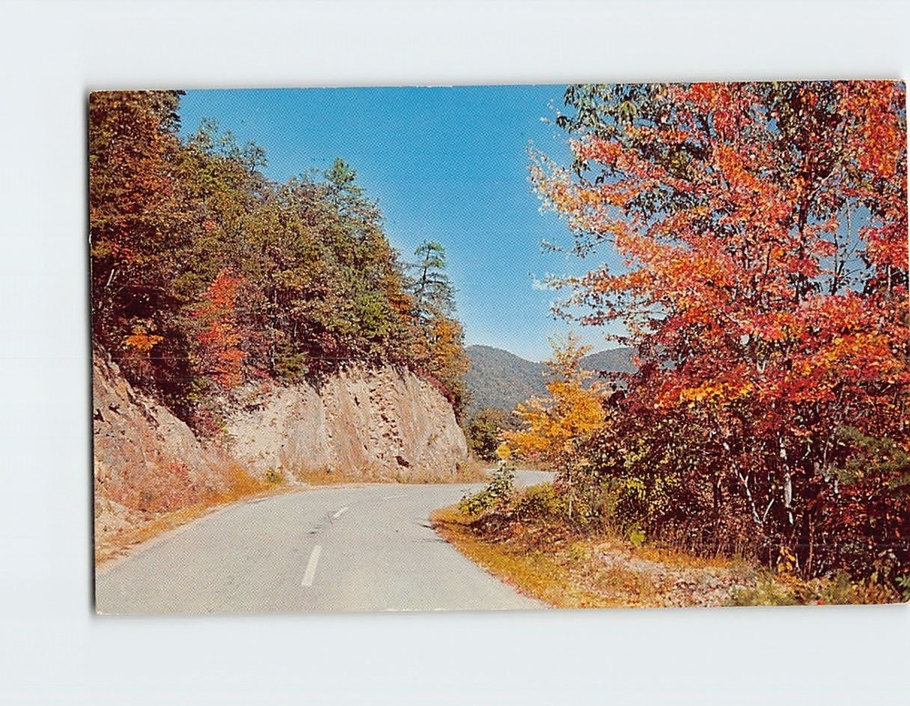 Postcard Greetings from Bristol Wisconsin USA