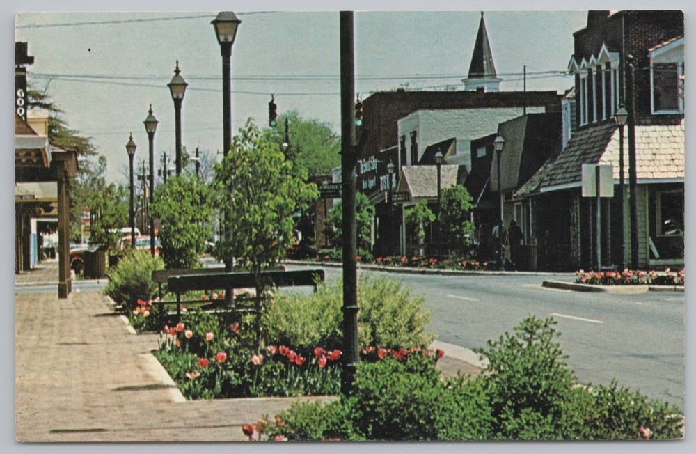 Main Street~Flower Gardens By 4 Way~Old Perry @ Perry GA~Vintage Postcard