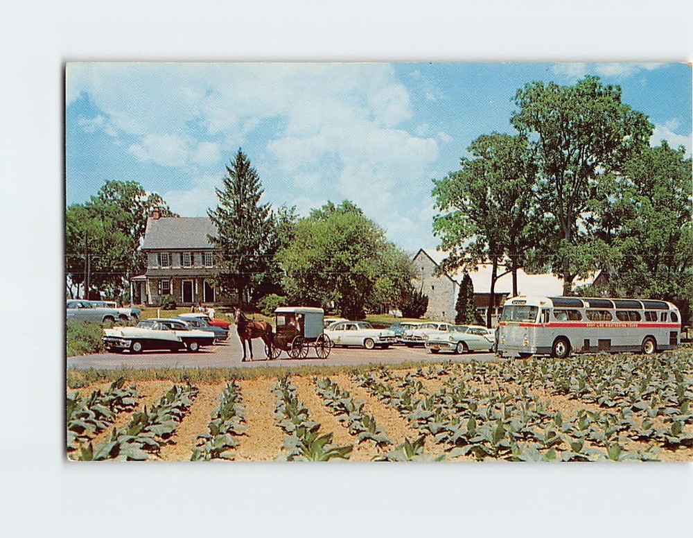 Postcard The Amish Farm & House Lancaster Pennsylvania USA