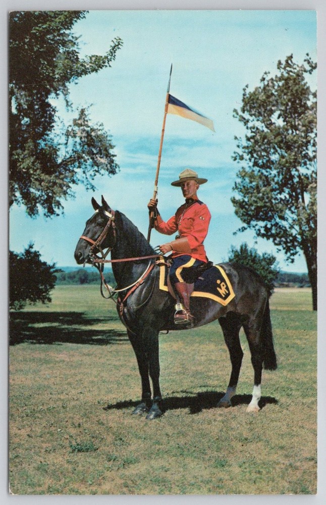 1963 RCMP Mountie on Horseback Plastichrome Postcard Canada