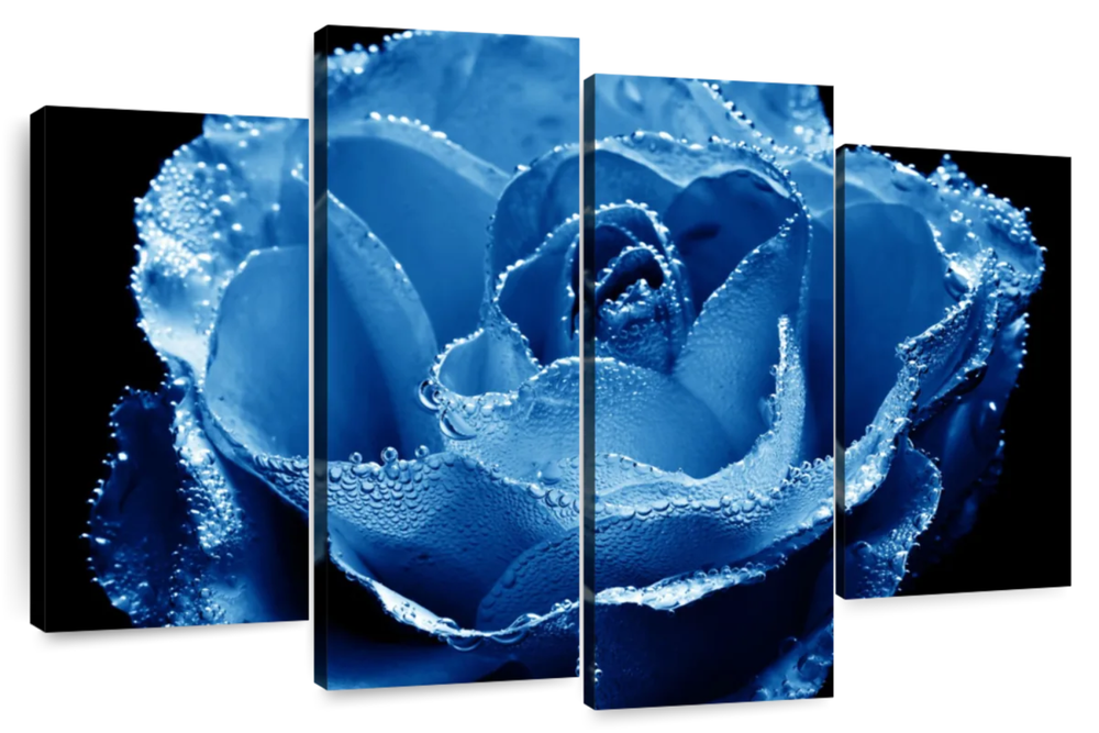 Misty Blue Rose Wall Art