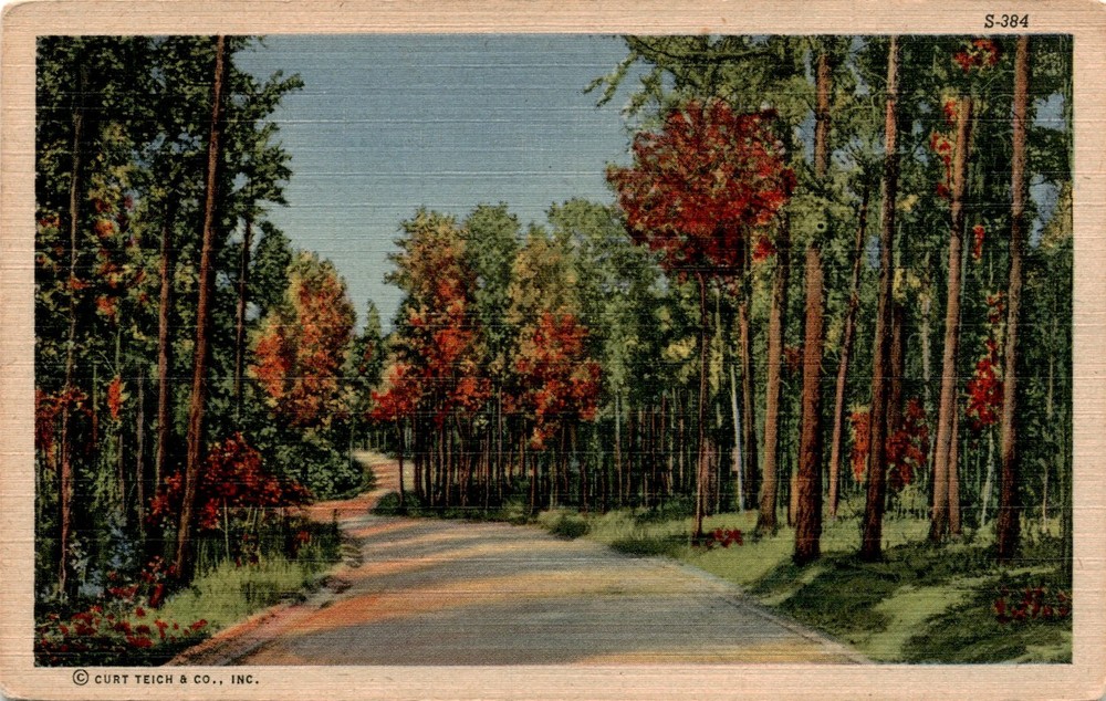 Curt Teich & Co., Inc., C. T. Landscape Scenes, Curteich-Ch Postcard
