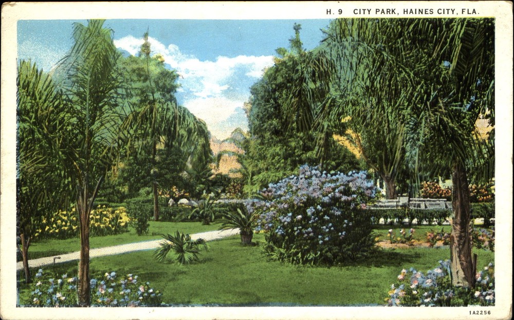 City Park ~ Haines City Florida FL ~ 1920s postcard ~ unused