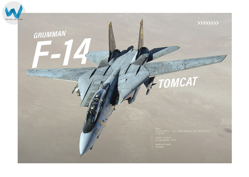 Grumman F-14 Tomcat Poster  Military Fighter Jet Art - 12X16/16X20/18X24/24X36