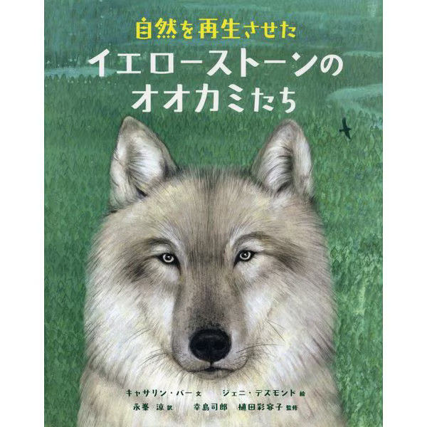 Yellowstone Wolves Regenerate Nature Picture Book 2024 No. Japan