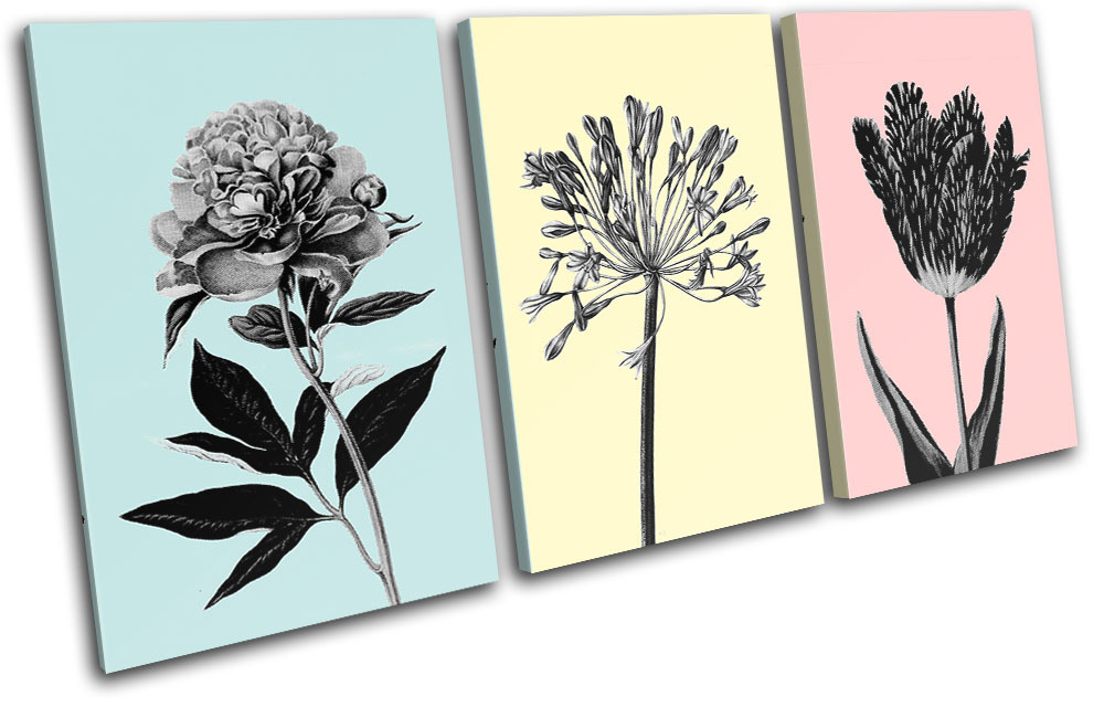 Botanical Floral Flower Modern Vintage TREBLE CANVAS WALL ART Picture Print