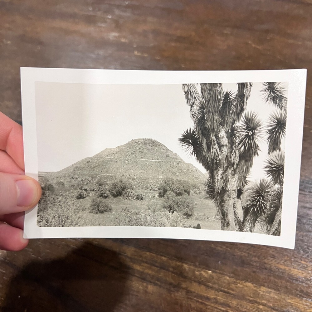 Vintage Postcard Teotihuacan Mexico Pyramid Of The Sun Desert Landscape