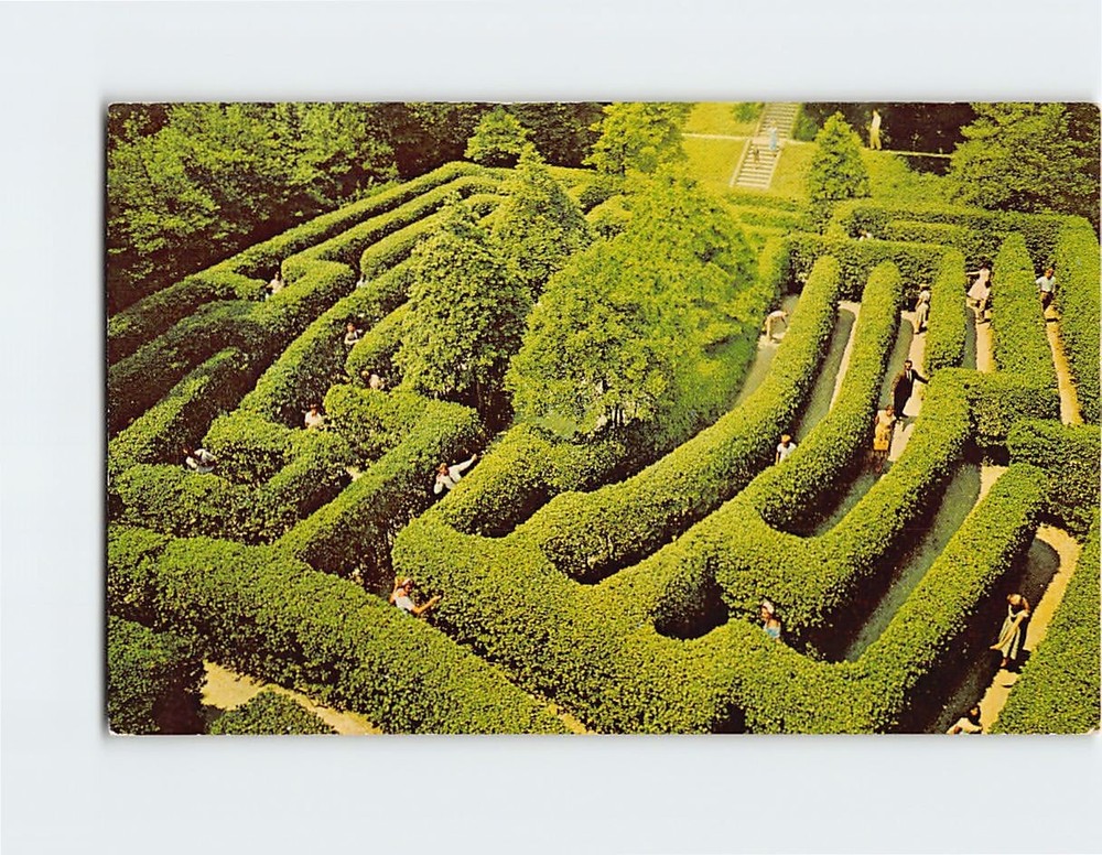 Postcard The Governor's Palace Maze, Williamsburg, Virginia