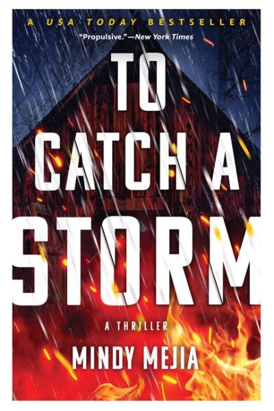 To Catch a Storm, Paperback by Mejia, Mindy, Brand New, Free shipping in the US