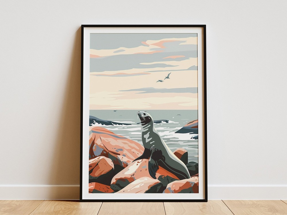 Sea Lion On Rocks Coastal Art Print Modern Minimalist Poster Ocean Animal Wall