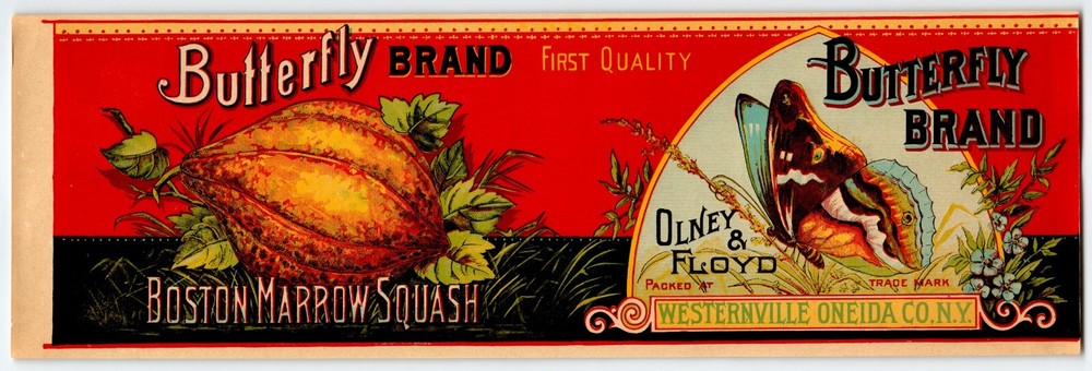 Butterfly Brand Boston Marrow Squash Victorian 1890's Food Can Label Lithograph