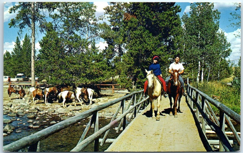Postcard - Horseback Riding in The Grand Teton National Park - Wyoming