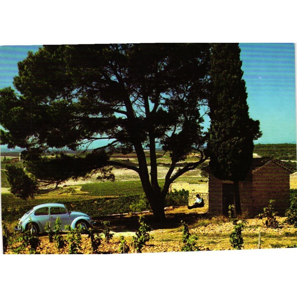 Vintage VW Beetle Postcard Volkswagenwerk AG Wolfsburg Germany Vineyard Scene