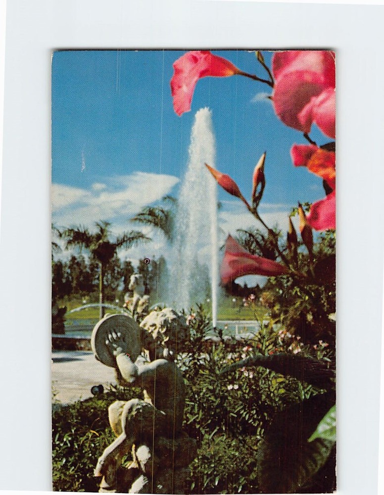 Postcard Kapok Tree Inn Fort Lauderdale Florida USA
