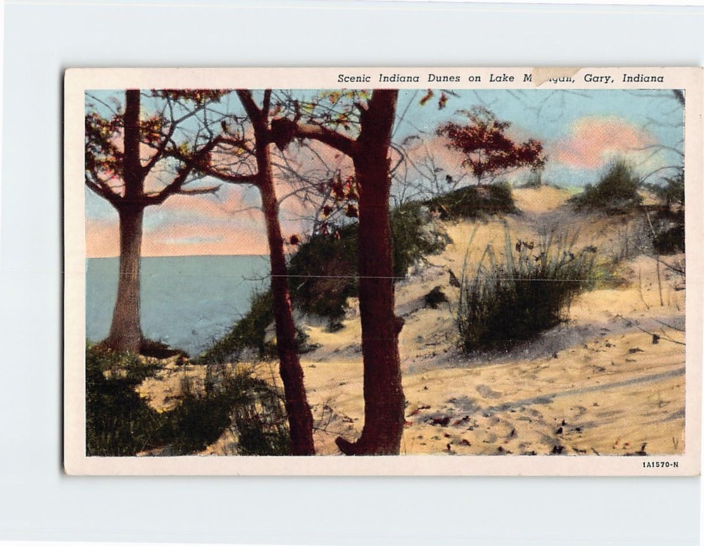 Postcard Indiana Dunes on Lake Michigan Gary Indiana USA