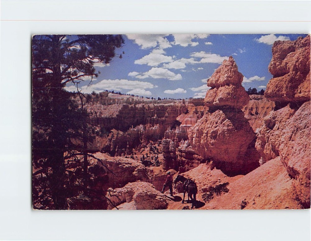 Postcard Saddle Horse Trail Bryce Canyon National Park Utah