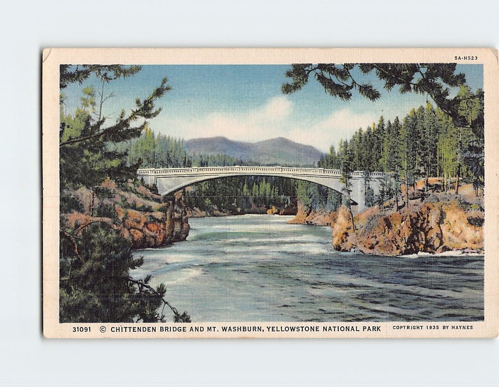 Postcard Chittenden Bridge & Mt. Washburn Yellowstone National Park Wyoming USA