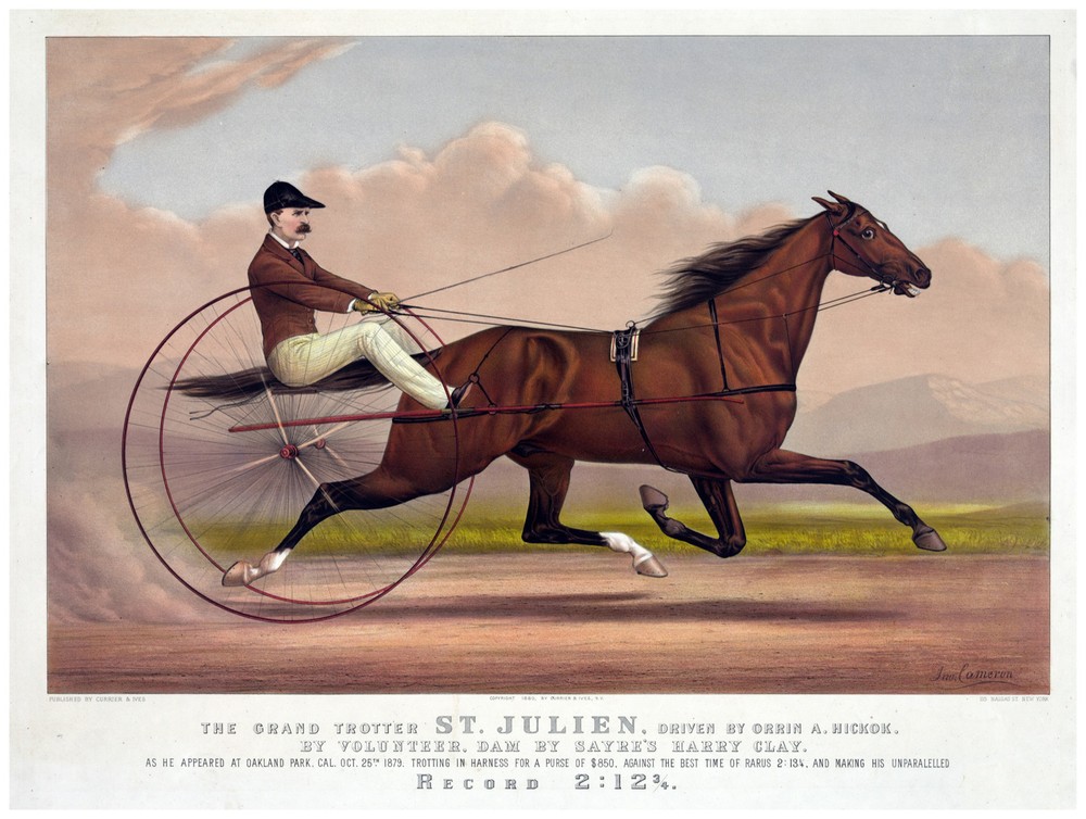 Decor  Poster. Fine Graphic Art. Trotter St. Julien. Home Wall Design. 1132