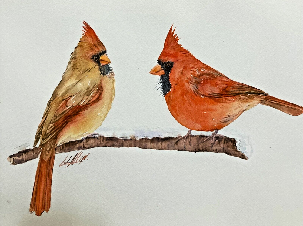 Birds Cardinal Watercolor Original Hand-Painted Artwork