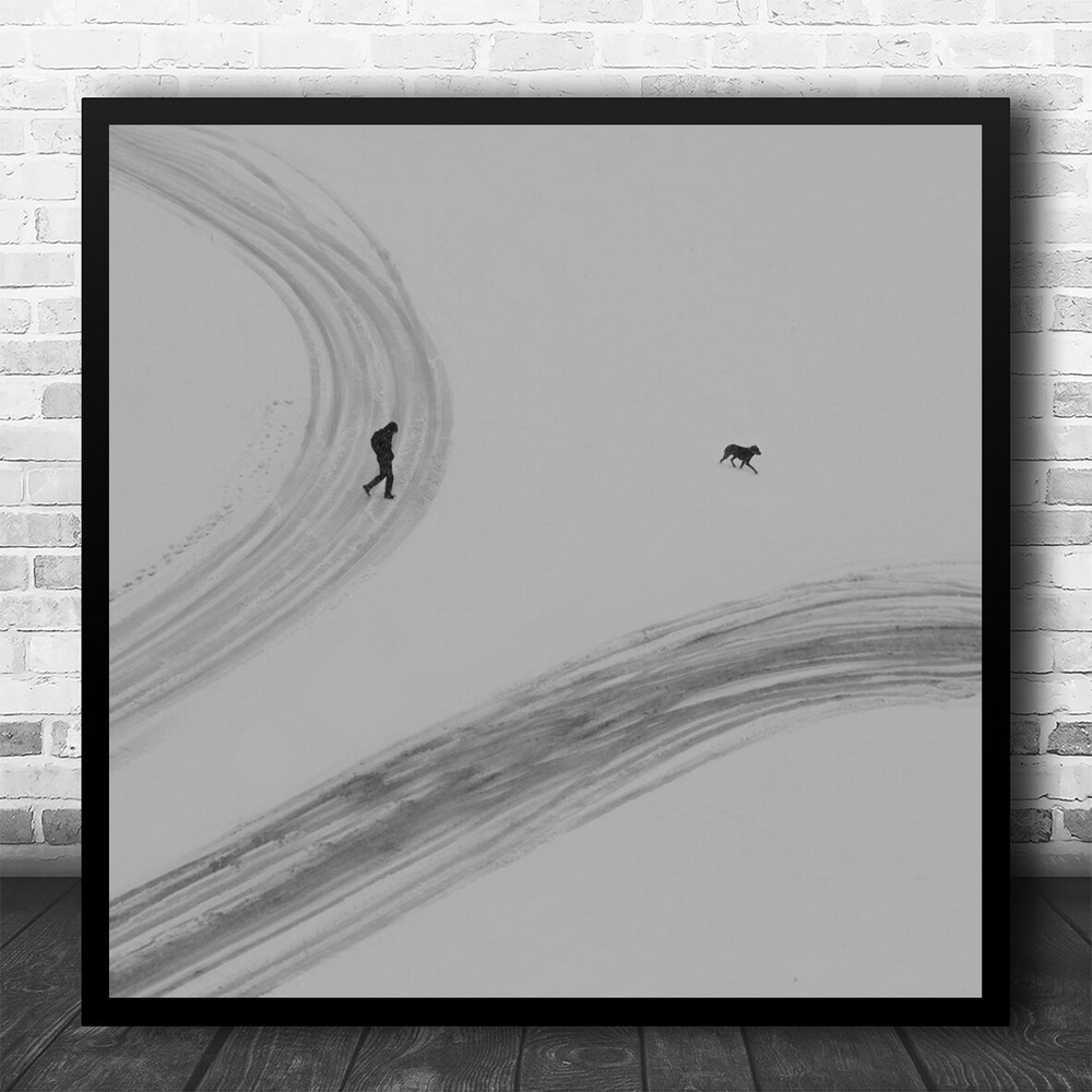 Two Routes In Snow Dog And Person Square Wall Art Print