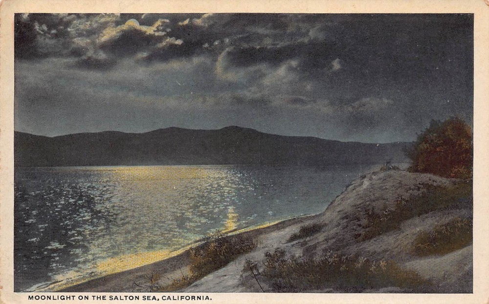 Salton Sea CA California Oasis Bertram Calipatria Mundo Niland Vtg Postcard B32