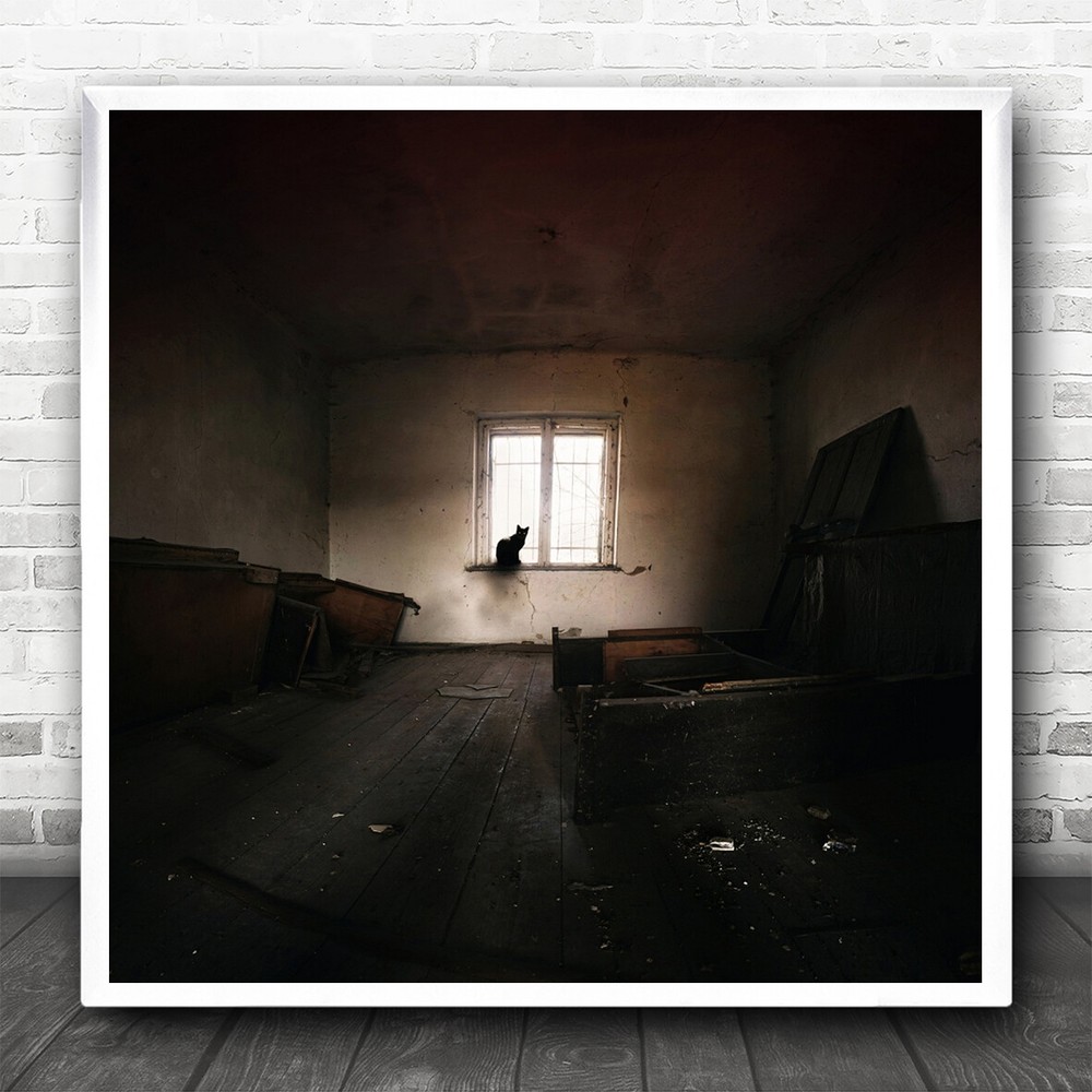 Isolated Empty Room Cat Figure In Window Square Wall Art Print