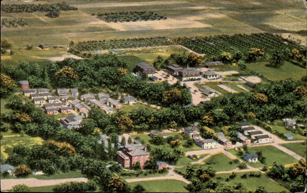Benton Harbor Michigan Fruit Belt aerial view city orchards vintage postcard