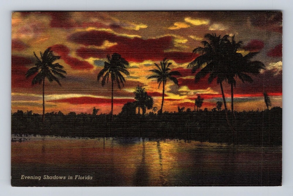 FL-Florida, Evening Shadows in Florida, Antique Vintage c1948 Souvenir Postcard