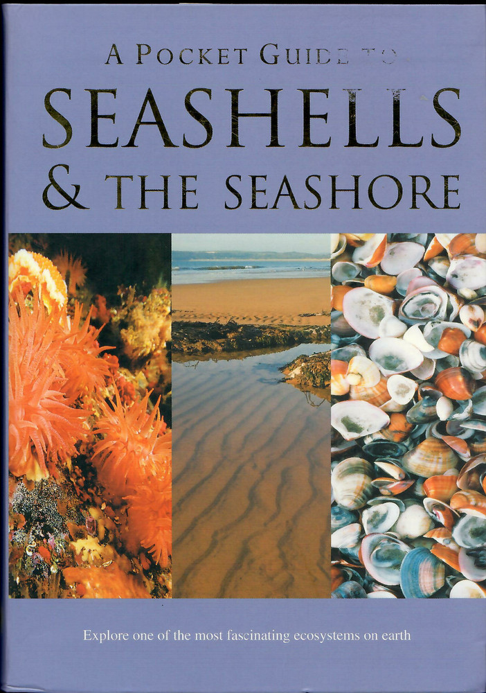 A Pocket Guide to Seashells & the Seashore, by Patrick Hook