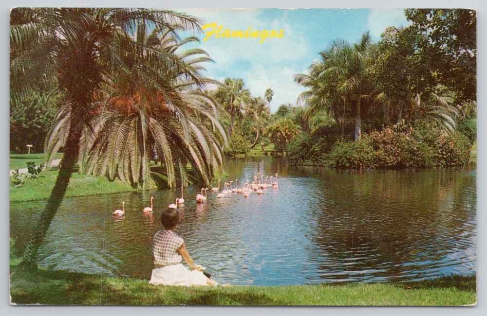 Flamingos Palm Trees Pond Scene Dexter Press Postcard Vintage Unposted