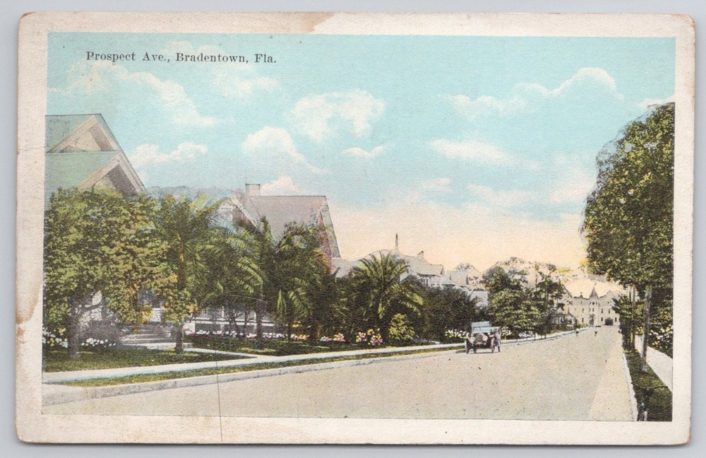 Prospect Ave Bradentown FL Vintage Postcard Early 1900s Florida Street Scene