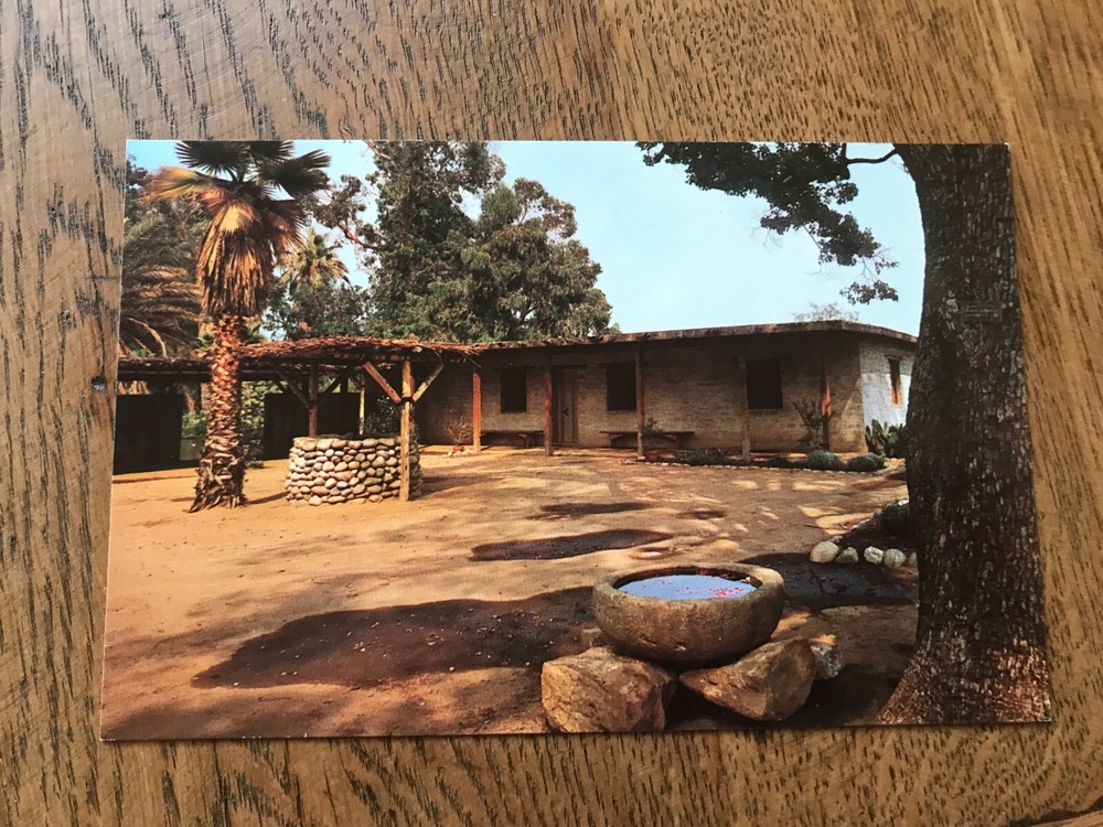Los Angeles State and County Arboretum Arcadia California Postcard