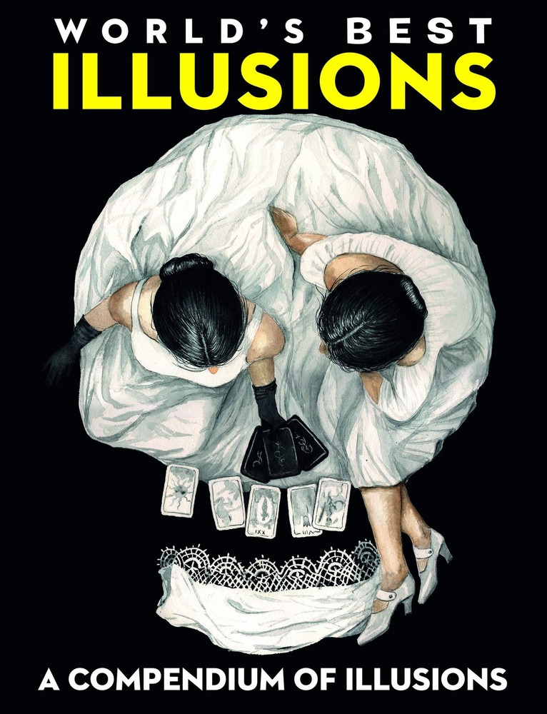 World's Best Illusions Book - paperback Lisa Regan