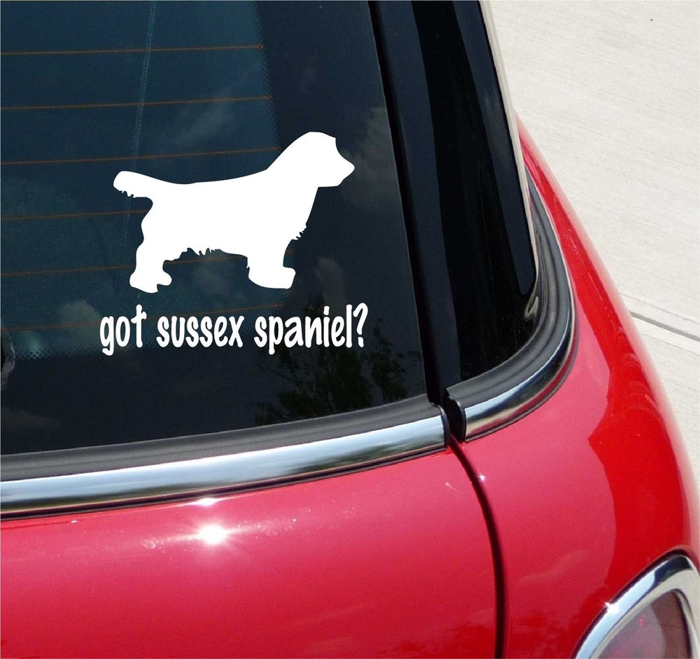 GOT SUSSEX SPANIEL? SPANIELS DOG GRAPHIC DECAL STICKER ART CAR WALL