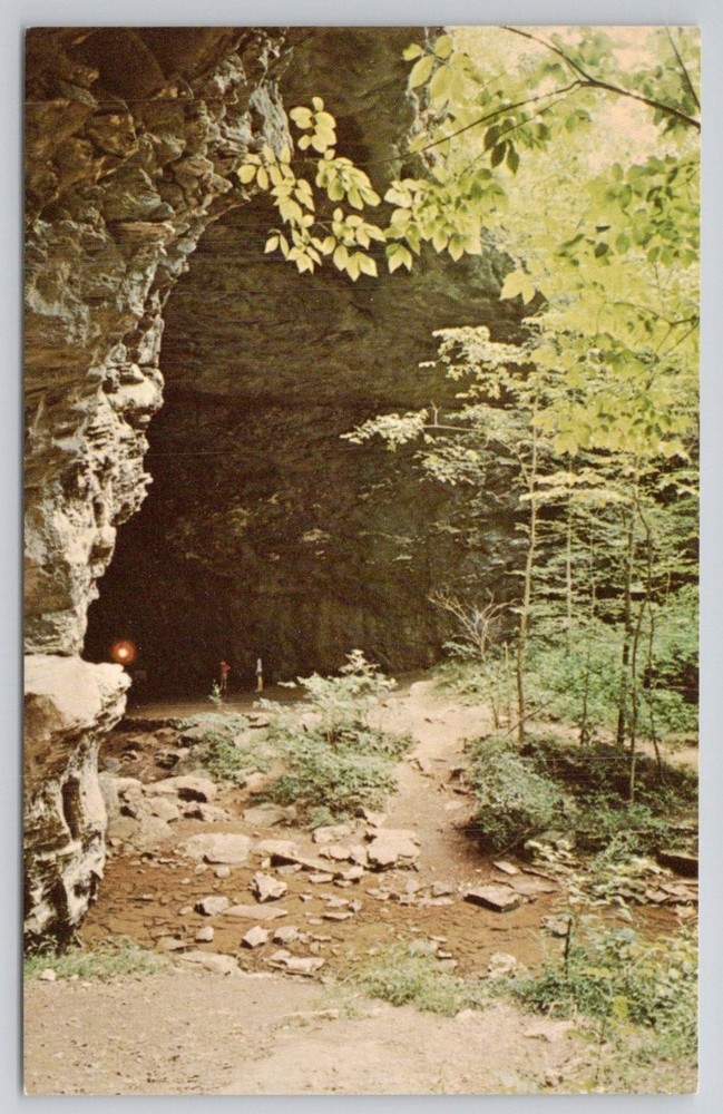 Carter Caves KY 180 Ft Natural Bridge Postcard - Olive Hill Kentucky