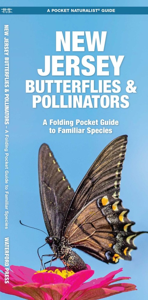 New Jersey Butterflies & Pollinators (Nature Observation North America)