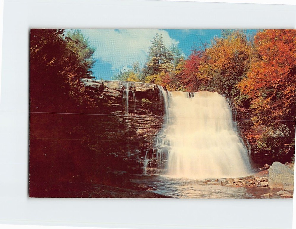Postcard Muddy Creek Falls Swallow Falls State Forest Oakland Maryland USA