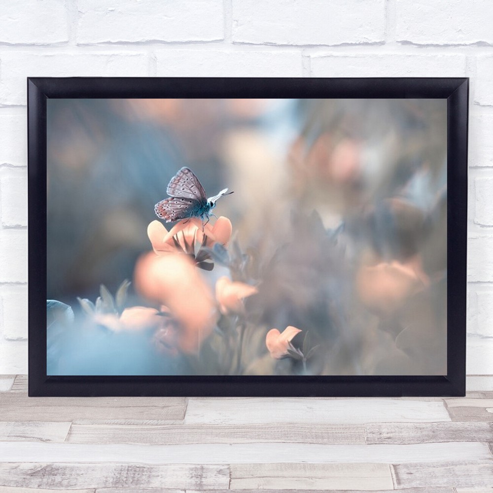 Parmi Les Dakinis Insect Butterfly Butterflies Bug Bugs Flower Flowers Art Print