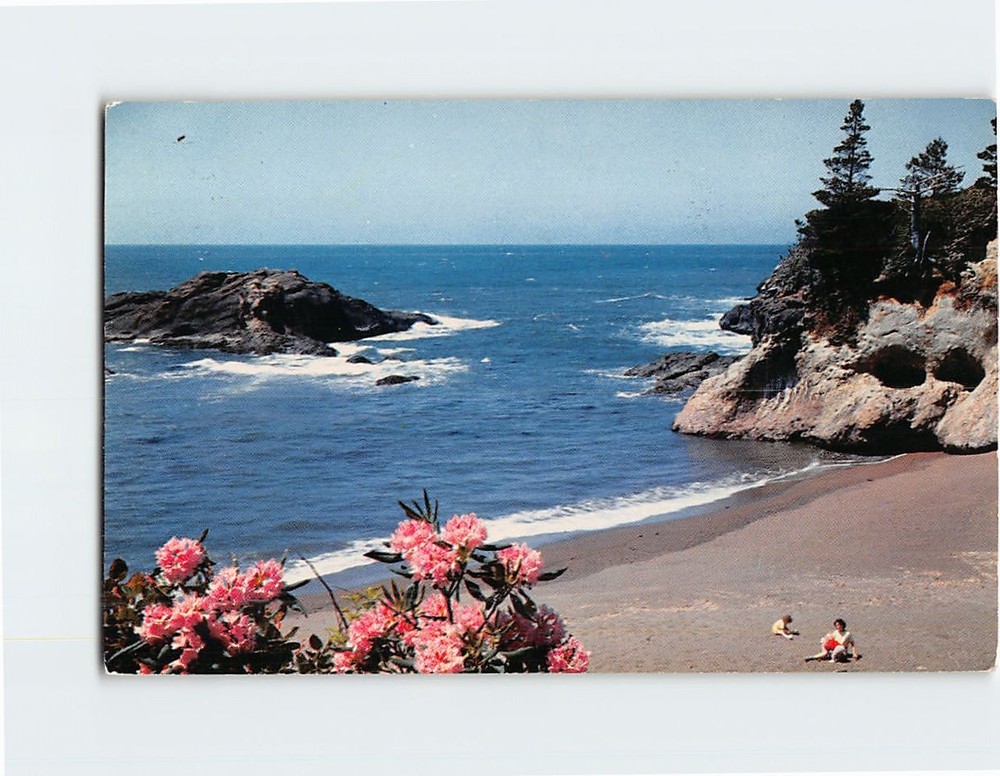 Postcard Pacific Ocean Seacoast